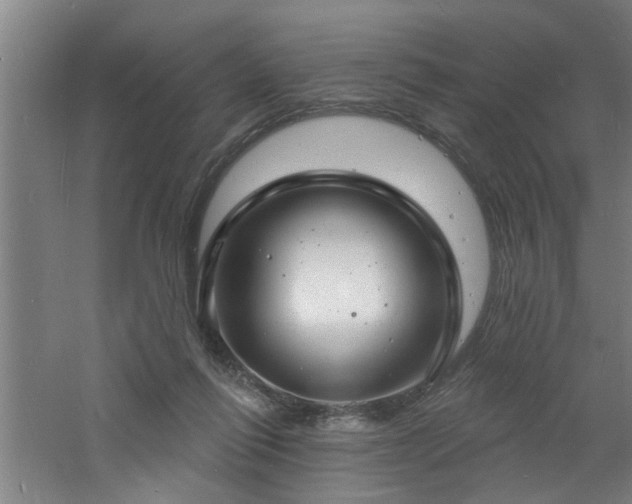 X0000060810262200511101500