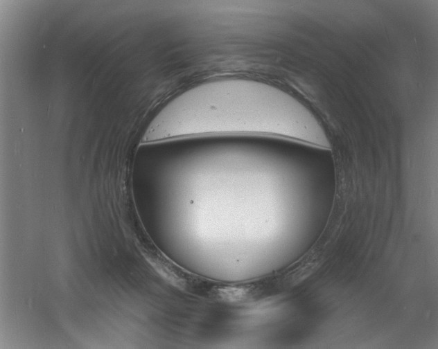 X0000060810265200511101500