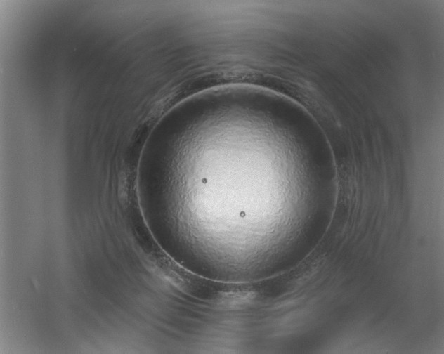 X0000060810266200511101500