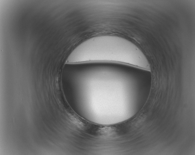 X0000060810269200511101501