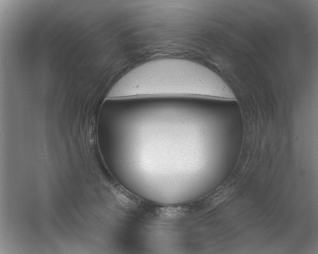 X0000060810273200511101501