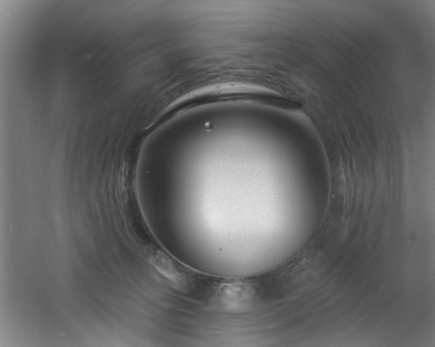 X0000060810275200511101501