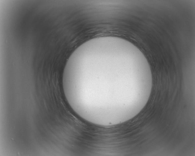 X0000060810277200511101501