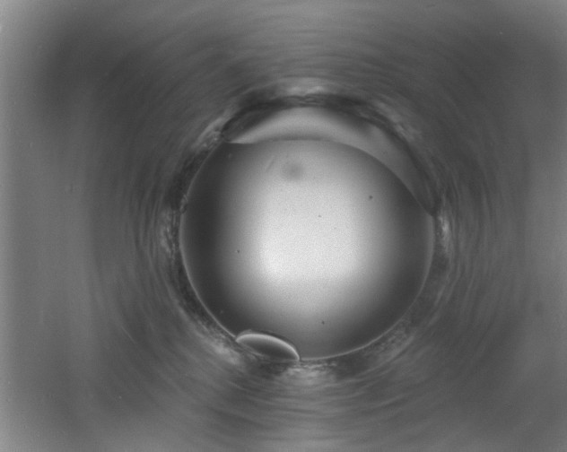 X0000060810280200511101501