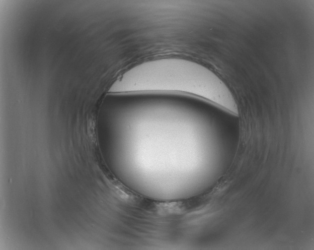 X0000060810281200511101501