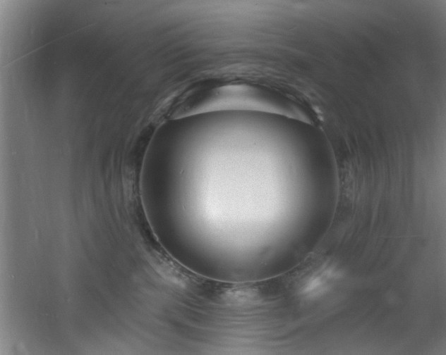 X0000060810283200511101501