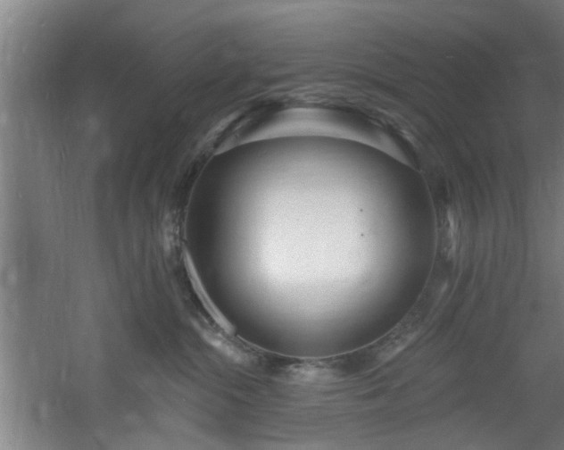 X0000060810284200511101501