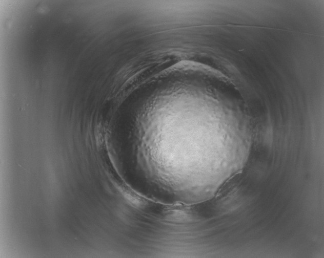 X0000060810285200511101501