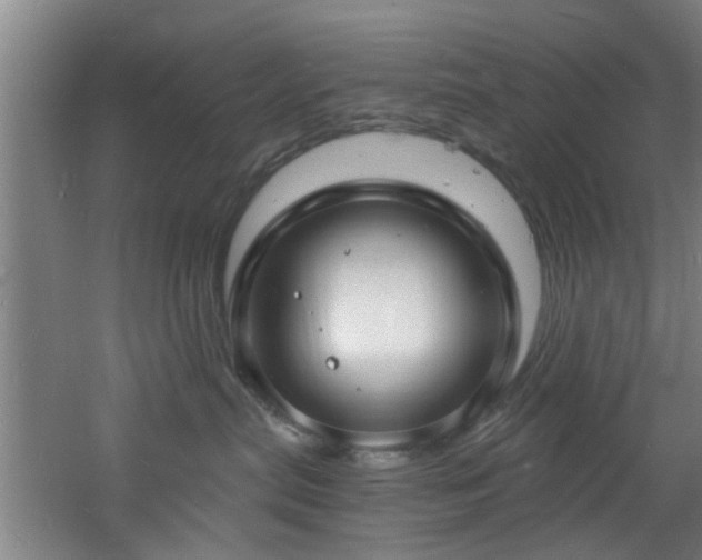 X0000060810287200511101501