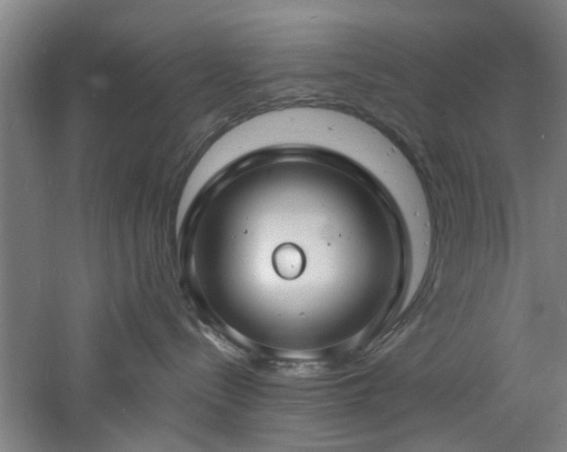 X0000060810288200511101501