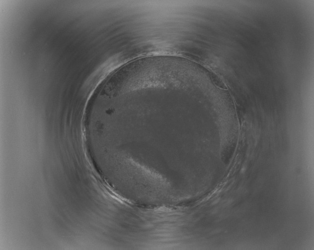 X0000060810290200511101500