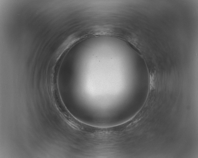 X0000060810291200511101500