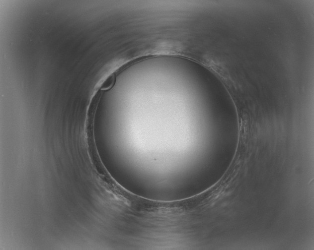 X0000060810292200511101500