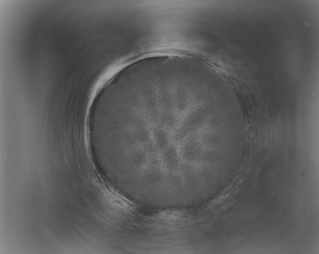 X0000060810294200511101500