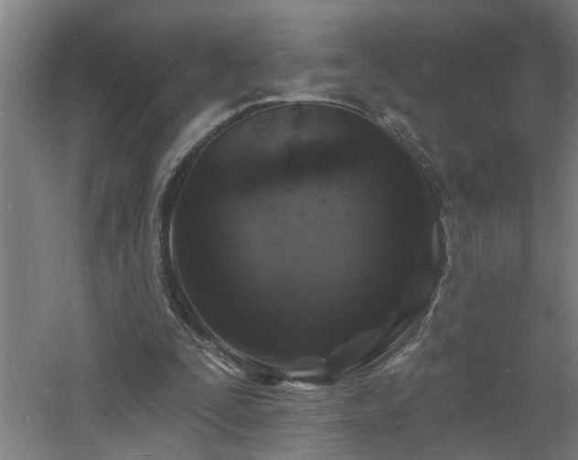 X0000060810295200511101500