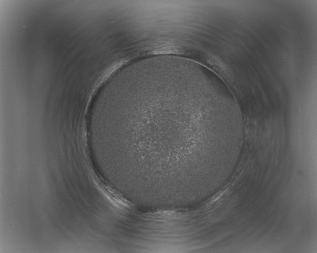 X0000060810298200511101500