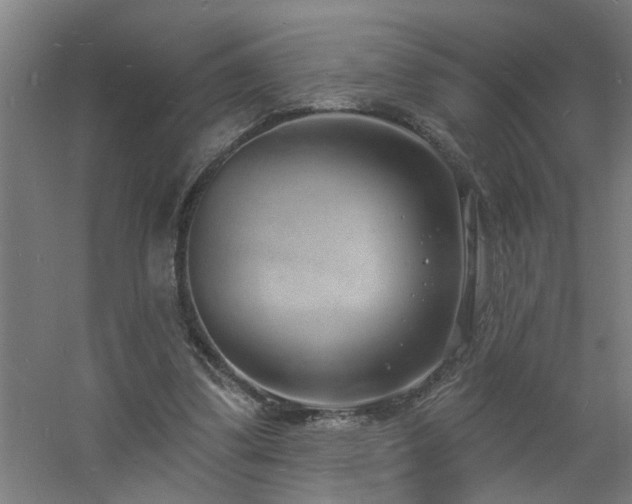 X0000060810299200511101500