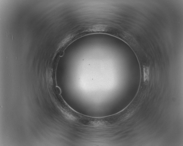 X0000060810300200511101500