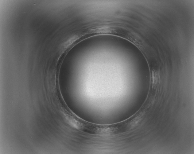 X0000060810301200511101500