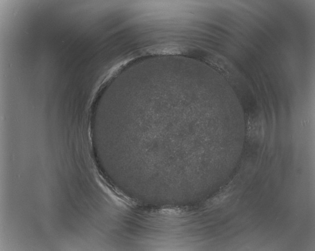 X0000060810302200511101500