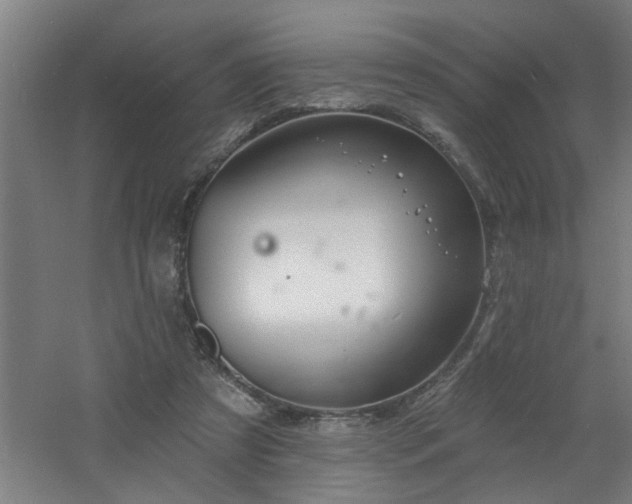 X0000060810305200511101500