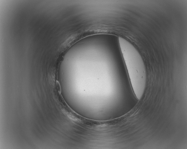 X0000060810309200511101500