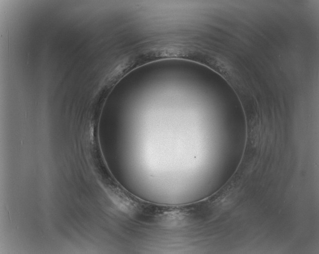 X0000060810310200511101500