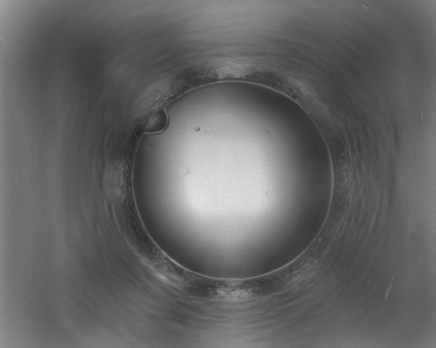 X0000060810311200511101500