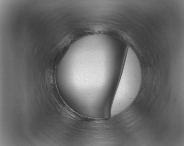 X0000060810313200511101500