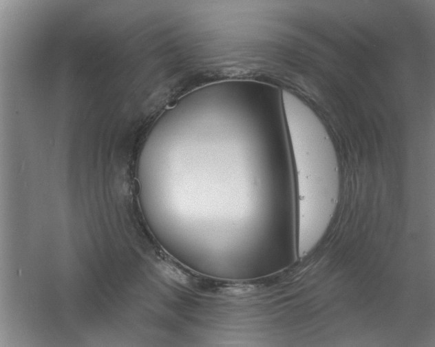 X0000060810317200511101500