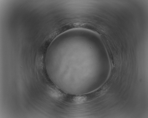 X0000060810319200511101500