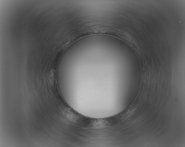 X0000060810321200511101459