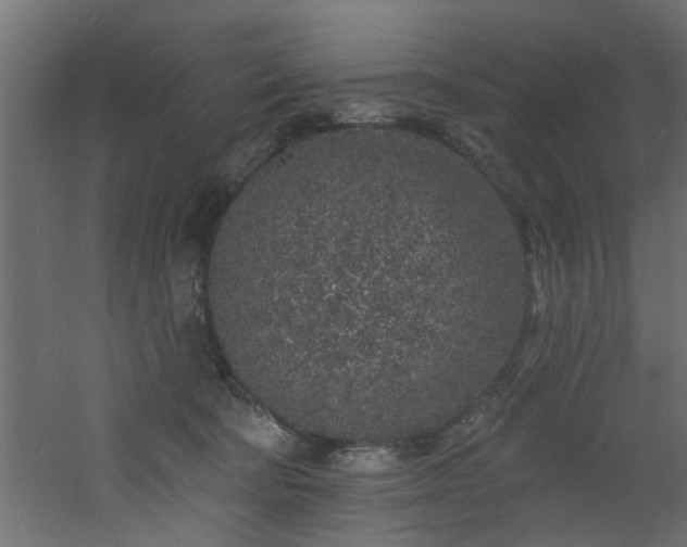 X0000060810322200511101459