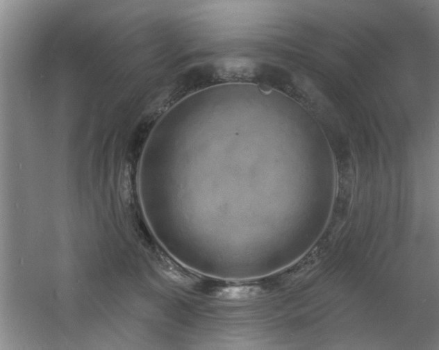 X0000060810323200511101459