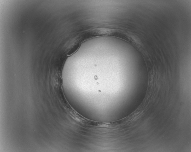 X0000060810325200511101459