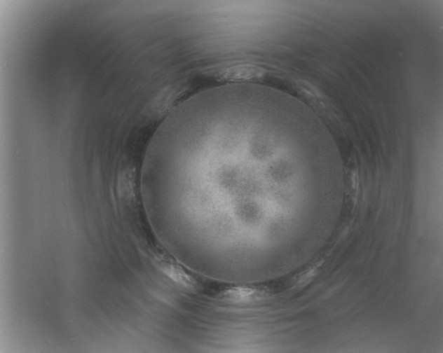 X0000060810326200511101459