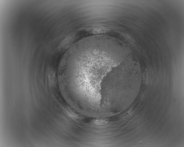 X0000060810327200511101459