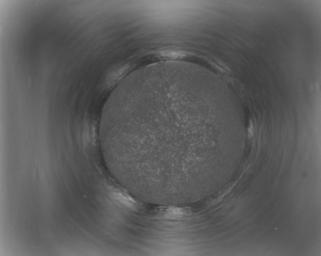 X0000060810330200511101459