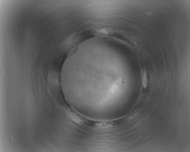 X0000060810331200511101459