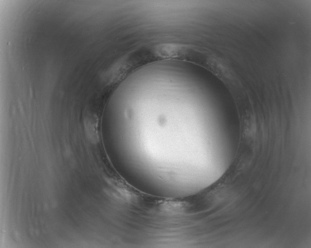 X0000060810332200511101459