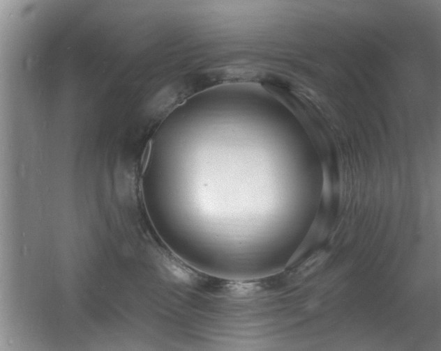 X0000060810333200511101459