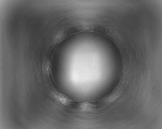 X0000060810336200511101459