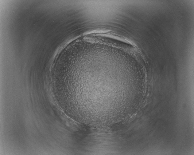 X0000060810337200511101458