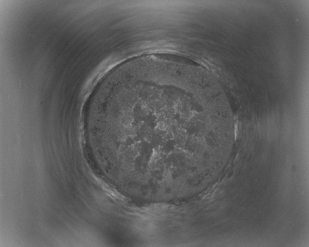 X0000060810339200511101458