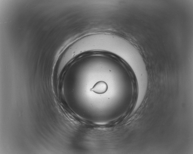 X0000060810340200511101458