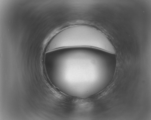 X0000060810341200511101458