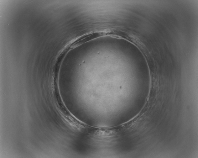 X0000060810346200511101459