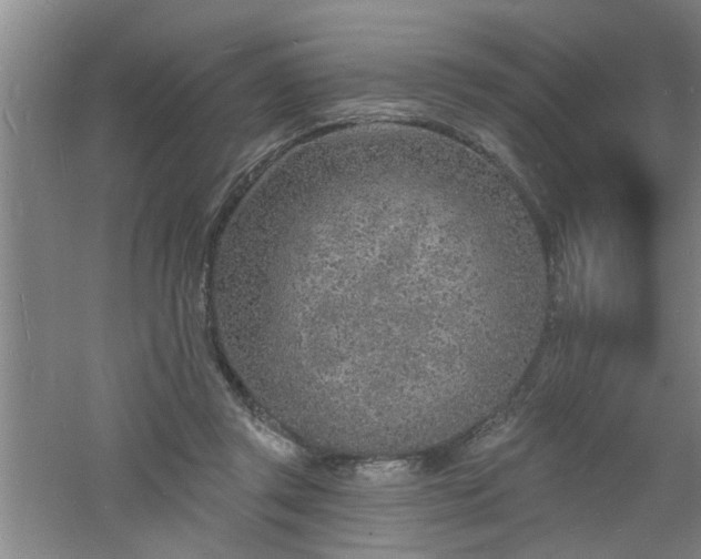 X0000060810357200511101459