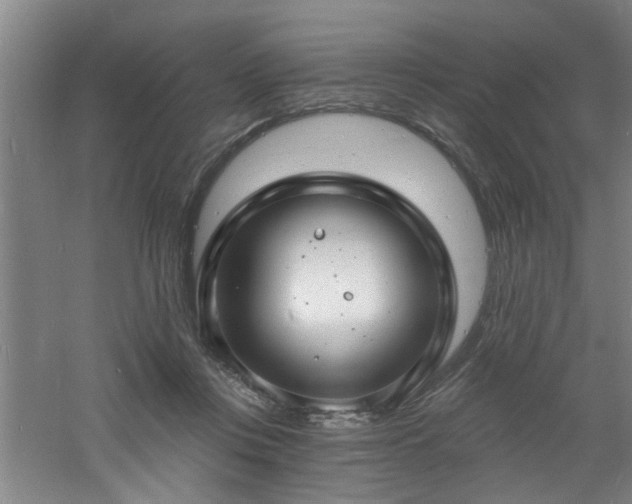 X0000060810359200511101459