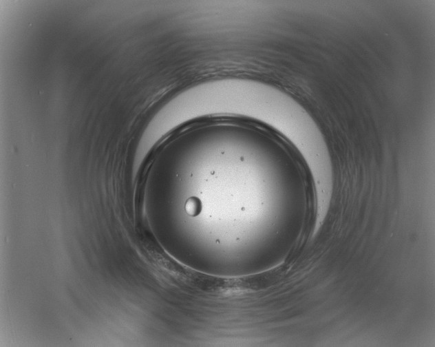 X0000060810360200511101459